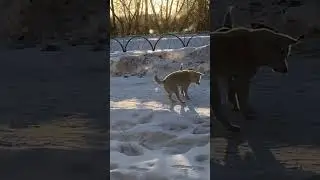 Эта свадьба как-будто😂😂😂