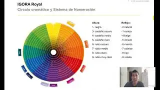 Essensity de Schwarzkopf ¿Cómo se utiliza? explicación paso a paso.