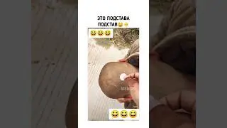 Плюнул на лысину😆👨‍🦲 