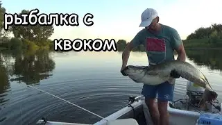 catfish fishing with a kwok on the river exits on the echo sounder Lowrance Elite 9ti2