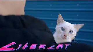 CyberCat Teaser 1