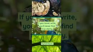 Start Today, if you haven't Already!