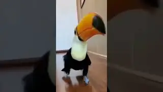 #милота#забавные #позитив