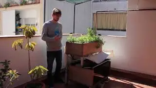 Aquaponics overview