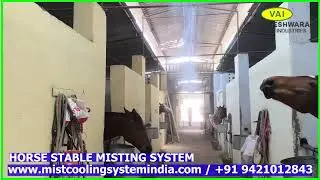 Horse Stable Misting System / Stud Farm Misting system live Stock