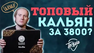 КАЛЬЯН ESTATE STELLA. ЛУЧШИЙ КАЛЬЯН ДО 5000?