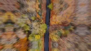 Belgrad Ormanı Sarıyer Drone Görüntüleri  - Dji Mavic Air