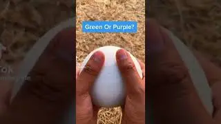 Green or ☠️☠️☠️☠️? #лол #мем #youtube #shorts