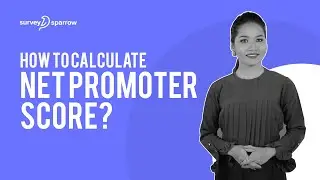 How to calculate Net Promoter Score (NPS)?