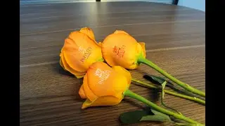 How to Print Custom Designs on Fresh Flowers! (Amazing Rose Printer)-Speaking Rose
