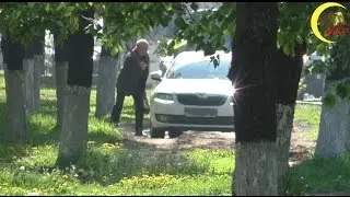 Битва за газон. (1 часть)