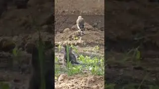 الغرام ليك وحدك 🔥🔥🔥