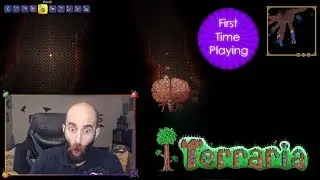 First Time Blind Terraria Playthrough - Livestream Highlights and Clips