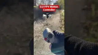 DJI FPV Motion Controller
