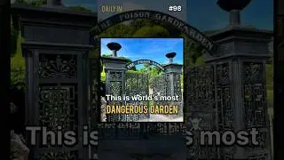 Most Dangerous Garden | #98