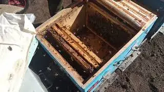 Кто  что  посоветует .......  или ?