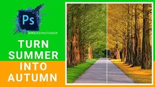 How to Turn Summer to Autumn in 