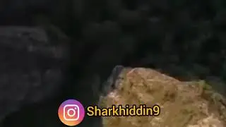 Дар бораи таҳқип