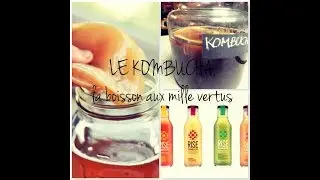 LE KOMBUCHA, LE CHAMPIGNON DE LONGUE VIE
