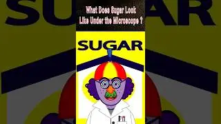 Microscope Science #1 Sugar