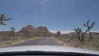 Joshua-Tree-Nationalpark