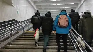 Станция Проспект Космонавтов Первой линии Екатеринбургского метрополитена