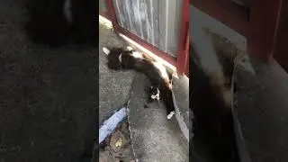 Анапа, как из фильма: «Станьте моим мужем»🤣