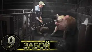 УБОЙ хряка на 300 КГ