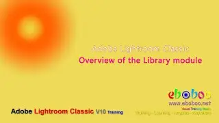 Adobe Lightroom Classic - Overview of the Library module
