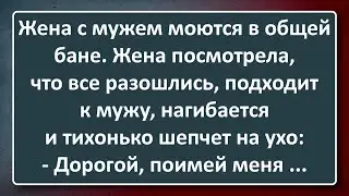 Жена Попросила Мужа об Услуге в Общей Бане! Сборник Изумрудных Анекдотов №31