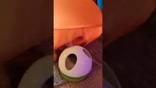 When she gets into catnip part two