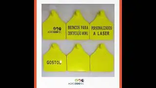 BRINCOS PERSONALIZADOS