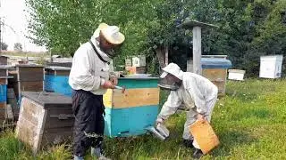 нумерация улья.