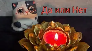 Да или Нет. Краткий ответ на заданный Вами вопрос.😍💞
