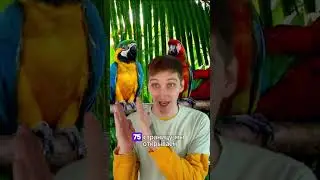 Когда ты учитель