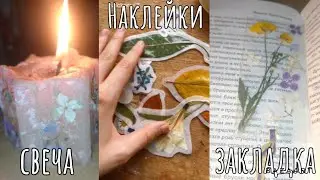 Канцелярия из сухоцветов goblincore | Видео для ведьмочек и травниц