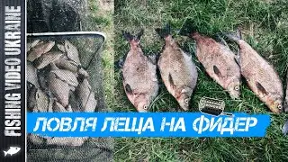 Catching Bream with a Feeder | 2023 Season Opening | @FVU 
