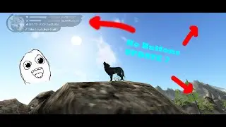 The wolf cinematic view. Best for WOLF PHOTOGRAPHERS.