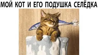Мемы 2022 ( Про100 