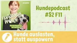 Hunde artgerecht auslasten: Bedürfnisse verstehen und sinnvoll beschäftigen