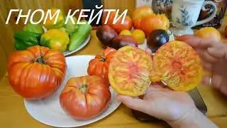 САМЫЕ ВКУСНЫЕ ТОМАТЫ ОСТАВЛЯЮ НА СЕМЕНА ИЗ ЛЕТНЕГО АРХИВА ЭПИЗОД ШЕСТОЙ