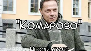 Игорь Скляр - Комарово (текст)