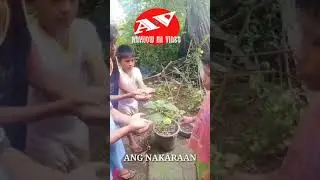 Anyhow mi Vines - Job Scammer Part 2 The Revenge
