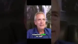 Connecting with Nature: My Journey in Forestry