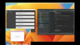 Software Development | Pick and Choose Code Portions | Flutter SDK & Dart