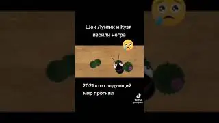 Лунтик и Кузя избили негра