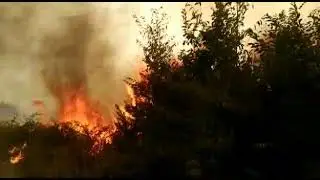 Xaçmaz (Oğuz) dağlarında yanğın baş verib