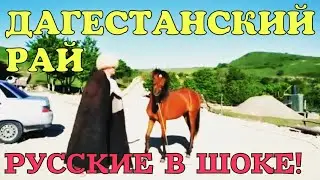 ДАГЕСТАНСКИЙ РАЙ? ВОЗМОЖНО ЛИ ЭТО? РУССКАЯ ПАРА В ДУБОВОЙ РОЩЕ.