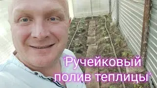 Капельный полив теплицы своими руками.