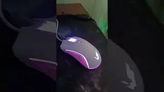 Обновочка мыши😊 